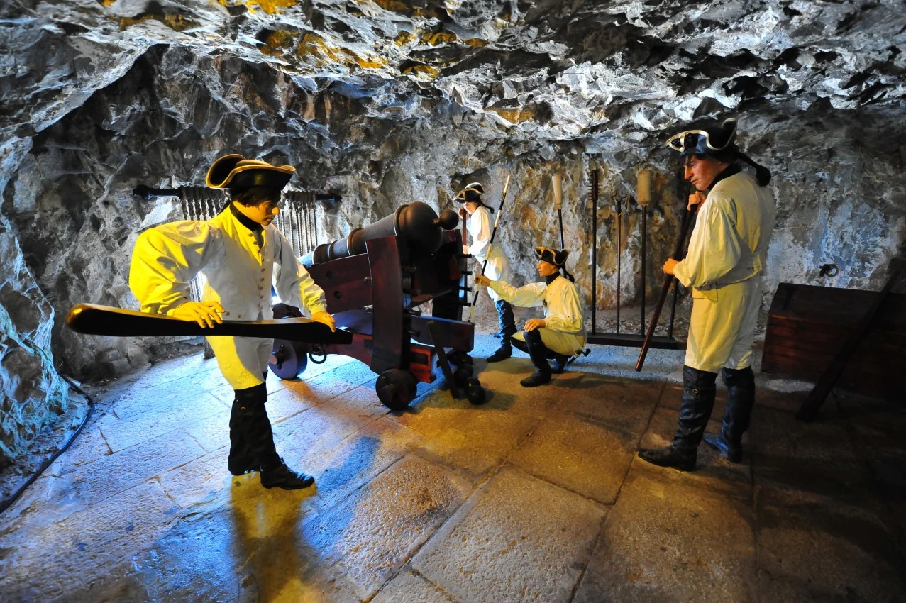 Gibraltar Platinum Tour - Guided Tour by Victory Tours