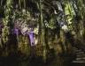 Gibraltar Extended Tour by Inside-Out Rock Tours